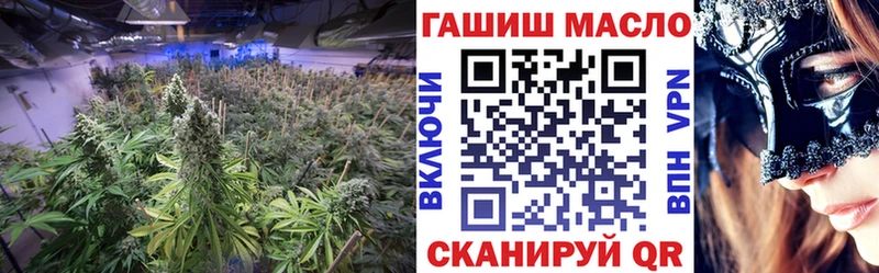 закладки  Суворов  ТГК концентрат 