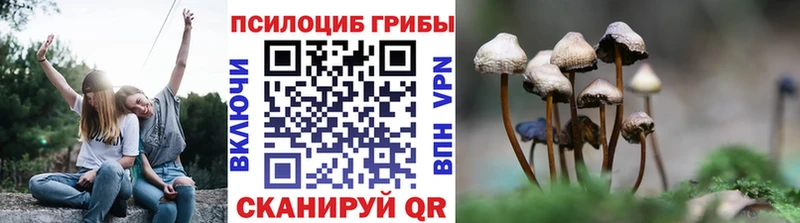 Галлюциногенные грибы ЛСД  Суворов 